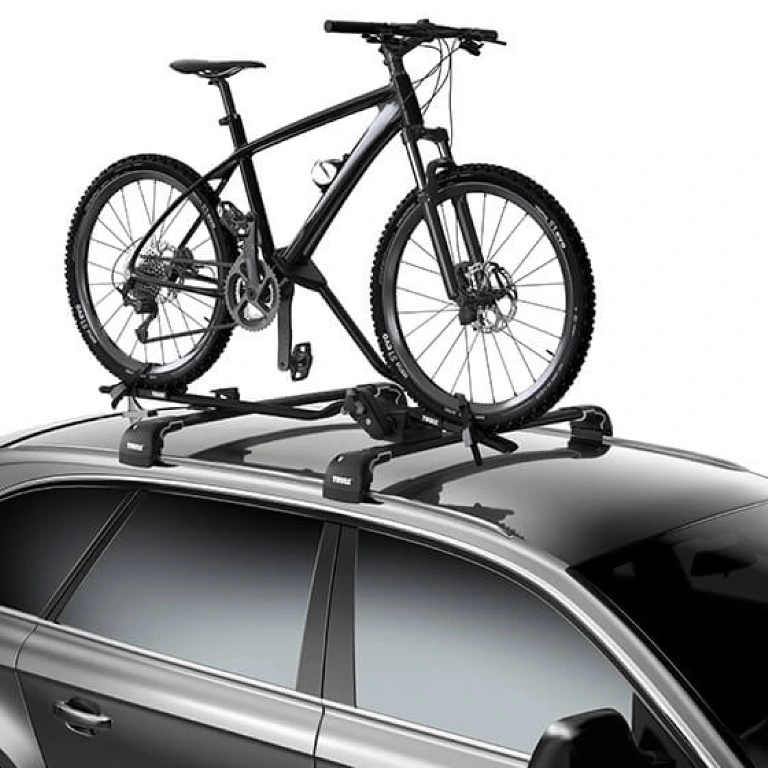 Thule-ProRide-Black-bike-carrier-TU598-02Z.jpg