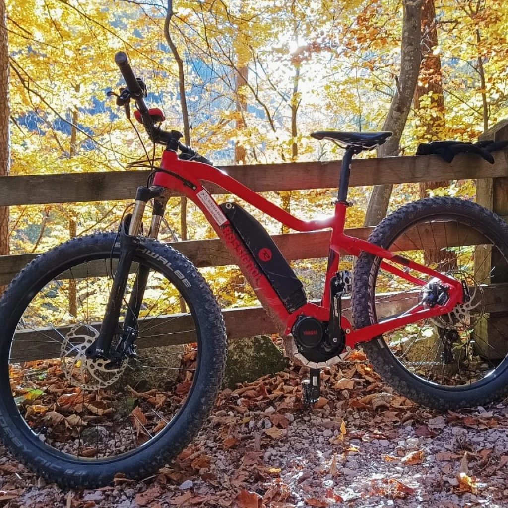 Ebike Rossi (1).jpg