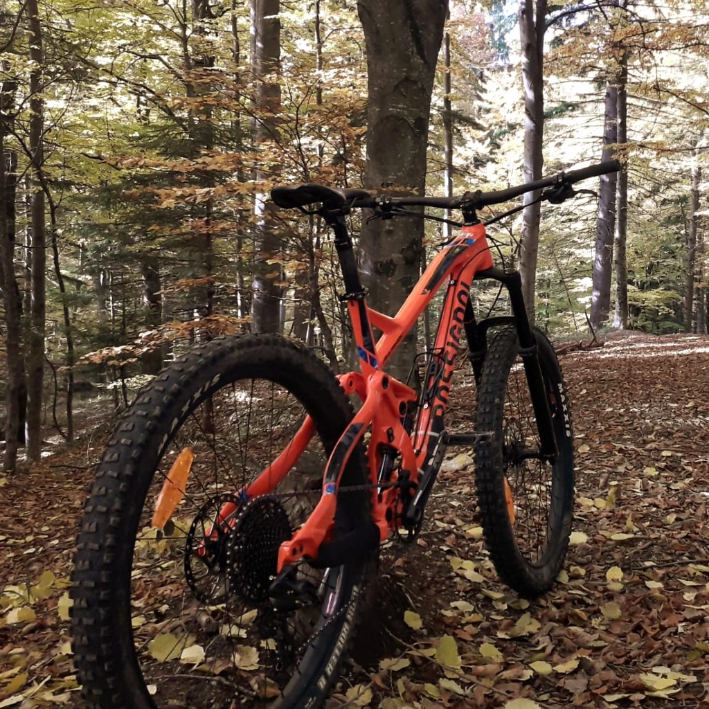 Enduro (4).jpg