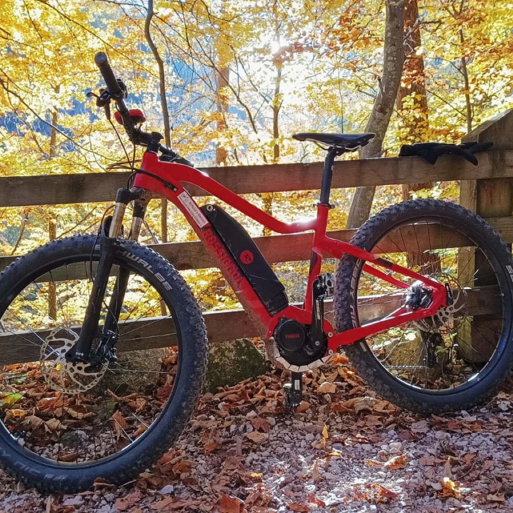 Ebike Rossi (1).jpg