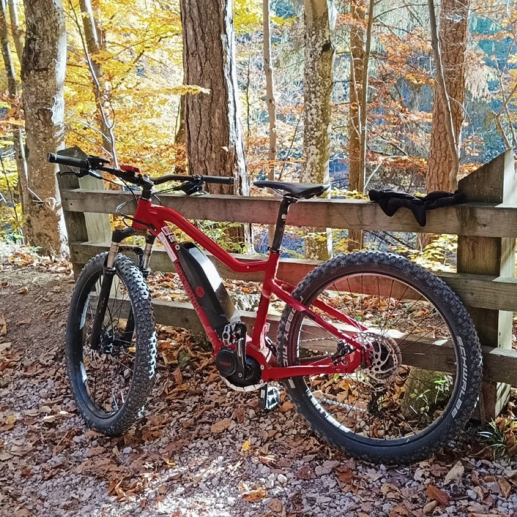 Ebike Rossi (2).jpg