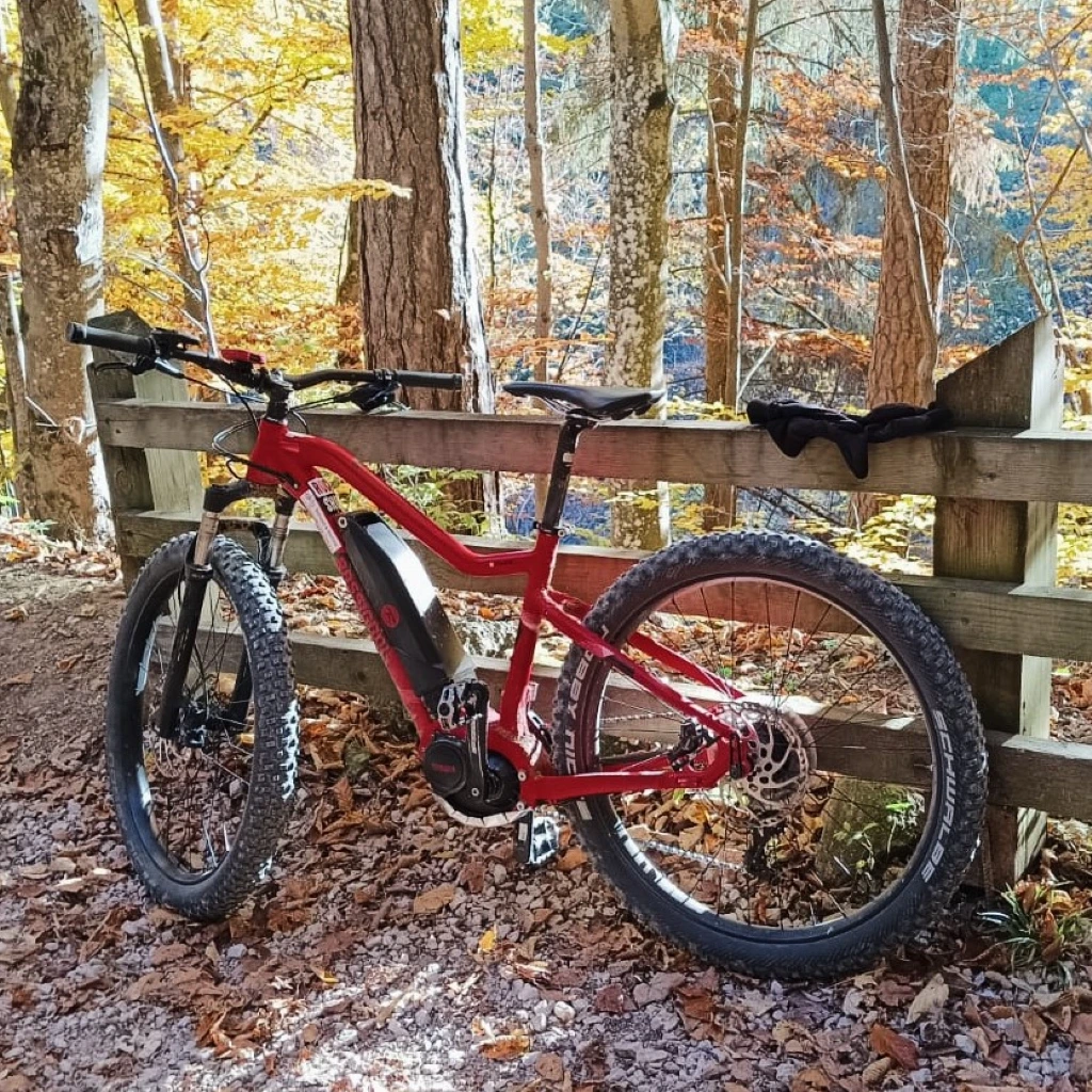 Ebike Rossi (2).jpg