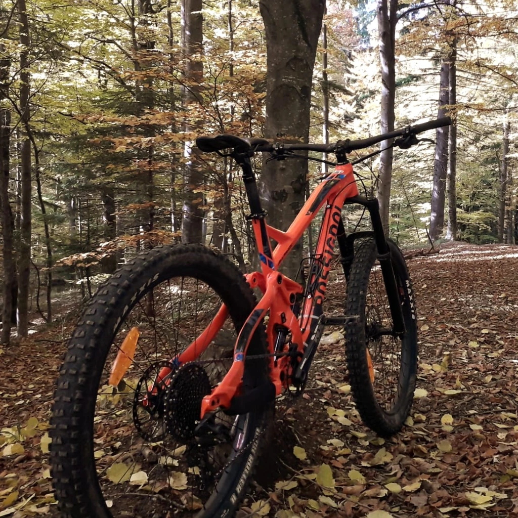 Enduro (4).jpg